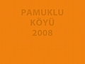 Pamukluköyü 2008