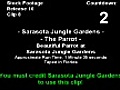 Stock Footage - Sarasota Jungle Gardens - The Parrot (2007)