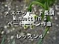 ベートーベン作曲メヌエット　ト長調のバイオリン演奏レッスン４