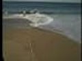 Web Extra: Joe Joyce Shows What A Rip Current Is
