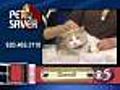 Pet Saver: Darnell