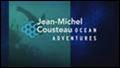 JEAN-MICHEL COUSTEAU: OCEAN ADVENTURES   Hot Turtl...