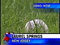 3-Year-Old Tosses Dad’s Foul Ball Back