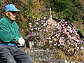 Japans Senioren: Demographisches Labor