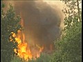Portugal registra 289 incendios,  la mayoría en el norte del país
