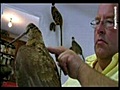 Clément Didier -Naturalistes-taxidermistes entomologistes Saint Cricq du Gave 40300 Landes