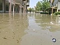 World News 5/10: Flooding of the Mississippi