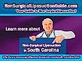 Non Surgical Liposuction South Carolina