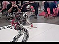 Robot Kung-Fu Chop