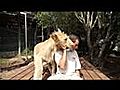 Knuffelen met leeuwen (de verwenweek van Evert - video 005 van 100)