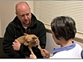 Questions to Ask when Selecting a Veterinarian