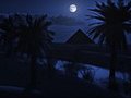 1073 Full Moon Night Pyramid Oasis Stock Footage