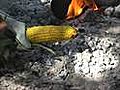 Campfire Corn on the Cob