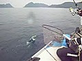日本海でペンペン
