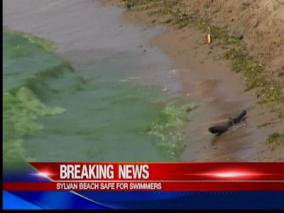 Water off Sylvan Beach once again safe for swimming 7-12-11