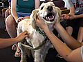 Pups bust stress at Penn