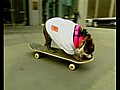 Skateboarding Dog