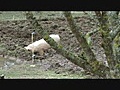 Notre ferme pédagogique - Vanille et compagnie