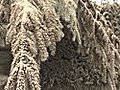 Raw Video: Ash covers Argentine towns