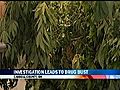 Authorities Find Hundreds Of Marijuana Plants At Home