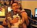 Cat dog fight               // video added January 15,  2010            // 0 comments             //                             // Embed video:                                                   320x2