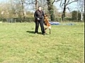 Educ’Toutou -dressage d&#039;animaux Bignan 56500 Morbihan