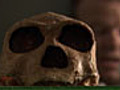 Mysterious Skulls Found in Palau