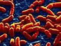 E coli outbreak is a new strain,  say German doctors - video