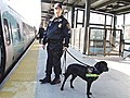 Keeping America’s Trains Safe for Christmas