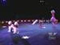 Big Apple Circus Introduces Skilled Dog Act
