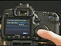 Canon EOS 40D Live View Demonstration