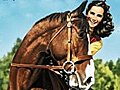 National Velvet