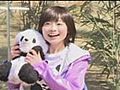 Cute pandas make debut