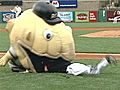 Zooperstars Entertain Fans At Slugger Field