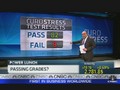 Euro Stress Test: Passing Grade?