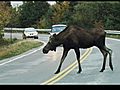 Cape Breton Highlands - Nova Scotia    Clip