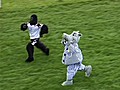 Bizarre Soccer Mascot Race