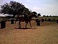 Horse back riding at my Texas home Jennah Karthes de Branicka