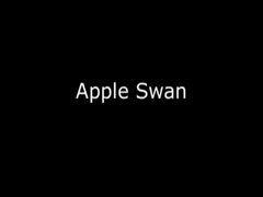 How To Make An Apple Into A Swan