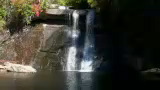 Royalty Free Stock Video HD Footage Waterfalls in North Carolina