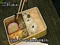 ひとり屋外で飯を食う シウマイ弁当