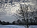 Tauwetter kommt nach Deutschland