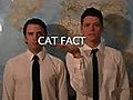 Cat Facts: Magic