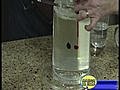 561. Reversed laminar flow - BestofYouTube.com