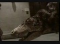 Un dinosaure plus vrai que nature