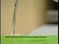 Noticias verdes