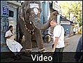 11: Will&#039;s elephant blessing - Madras, India