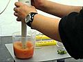 Extraction of DNA from common strawberries