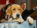 Obama Dog Auditions Bubba Johnson Good Ole Boy