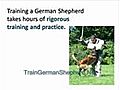 How to Train Your German Shepherd to Attack on Command